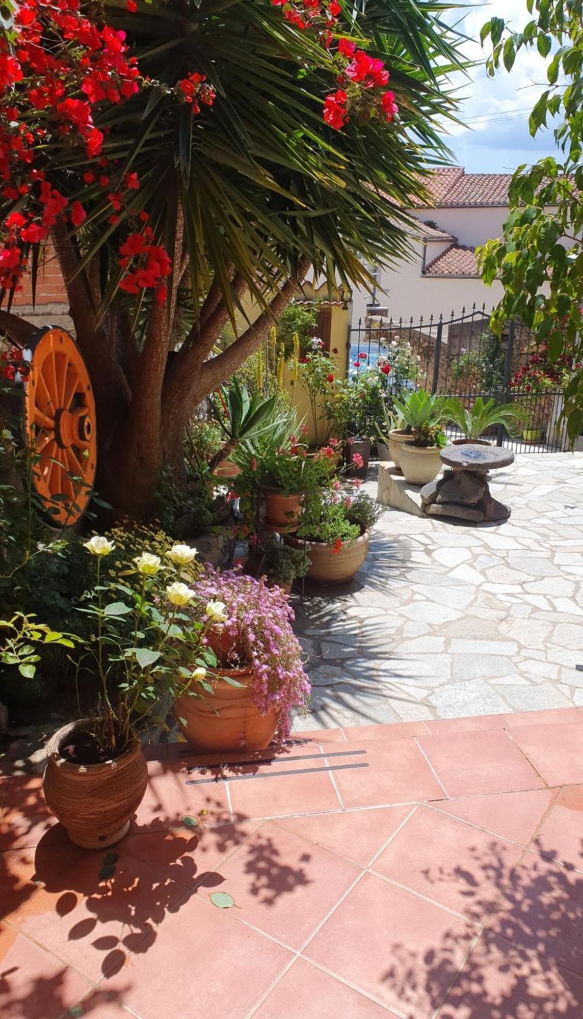 Su Carreri Bed and Breakfast Armungia Εξωτερικό φωτογραφία